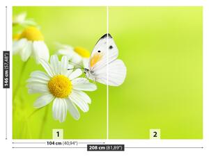 Carta da parati Farfalla e camomilla 104x70 cm
