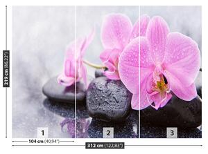 Carta da parati Pietre di orchidee 104x70 cm