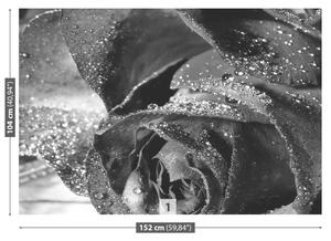 Carta da parati Acqua di rose 104x70 cm