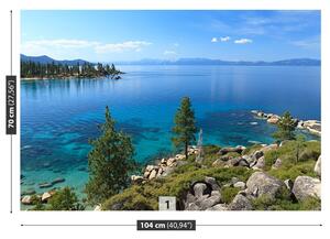 Carta da parati Lago Tahoe 104x70 cm