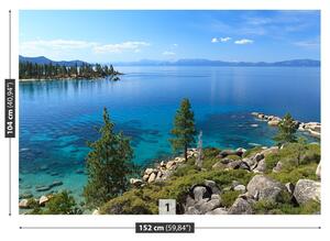 Carta da parati Lago Tahoe 104x70 cm