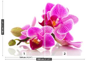 Carta da parati Fiori di orchidea 104x70 cm