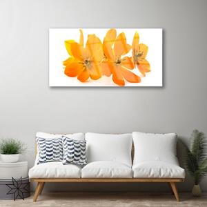 Quadro in vetro Pianta di fiori d'arancio 100x50 cm