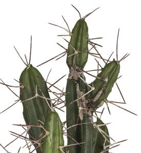 Pianta di Cactus Artificiale con Vaso Altezza 43 cm Verde