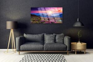 Quadro vetro Montagne Prato Fiori Paesaggio 100x50 cm