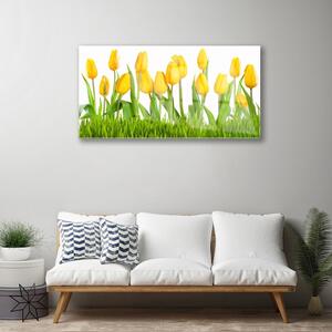 Quadro in vetro Tulipani per il muro 100x50 cm
