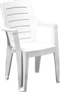 Dimaplast2000 Sedia per Esterni Impilabile in Resina 60x56x89h cm colore Bianco - Cleopatra