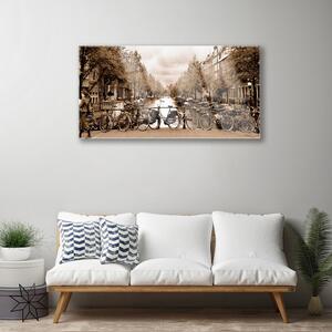 Quadro su vetro Fiume Bici Alberi Paesaggio 100x50 cm