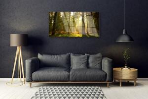 Quadro in vetro Foresta Natura Alberi 100x50 cm