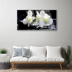 Quadro in vetro Fiore di orchidea bianco 100x50 cm
