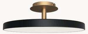 Plafoniera a LED luce regolabile Asteria