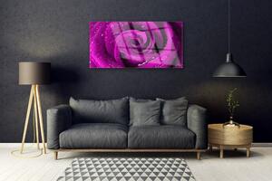 Quadro in vetro Fiore di rosa pianta naturale 100x50 cm