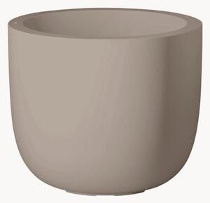 Portavaso Cup