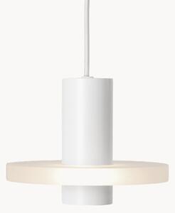 Lampada a sospensione piccola Flake