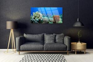 Quadro in vetro Natura della barriera corallina 100x50 cm