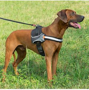 Pettorina per cani HERCULES P Blu M