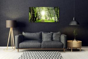 Quadro su vetro Foresta Sentiero del Sole Natura 100x50 cm