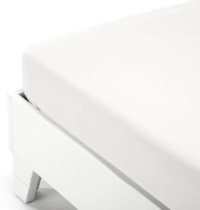 Lenzuolo Inferiore In Jersey Di Cotone Jersey Matrimoniale Hotellerie Tinta Unita Bianco Caleffi