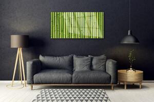 Quadro su vetro Pianta di bambù Natura 100x50 cm