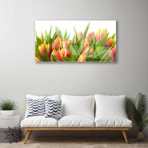 Quadro vetro Tulipani Fiori Pianta 100x50 cm