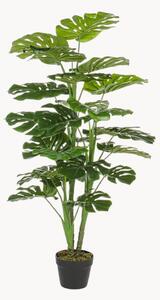 Piante artificiali Philodendron XL 2 pz