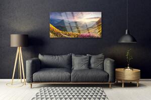 Quadro su vetro Prato di montagna Sole Paesaggio 100x50 cm