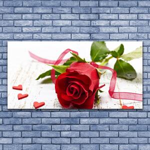 Quadro stampa su tela Natura della pianta del fiore della rosa 100x50 cm