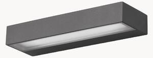 Applique da esterno a LED Fungo