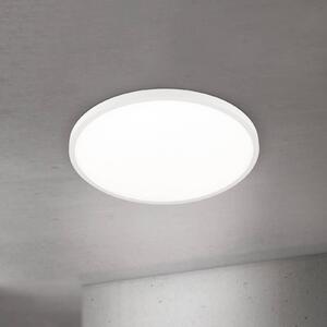ORION Plafoniera a LED Disc, dimmerabile, Bianco / Opale, Soggiorno / Sala da pranzo, Alluminio, Moderno, Plafoniera LED