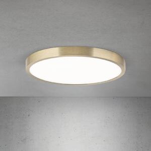 ORION Plafoniera a LED Disc, dimmerabile, Bronzo / Ottone antico, Soggiorno / Sala da pranzo, Alluminio, Moderno, Plafoniera LED
