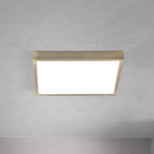 ORION Plafoniera a LED Disc, dimmerabile, Bronzo / Ottone antico, Soggiorno / Sala da pranzo, Alluminio, Moderno, Plafoniera LED