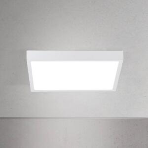 ORION Plafoniera a LED Disc, dimmerabile, Bianco / Opale, Soggiorno / Sala da pranzo, Alluminio, Moderno, Plafoniera LED