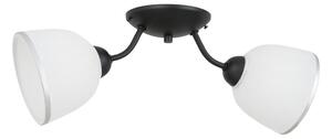 Plafoniera AVIA 2xE27/60W/230V
