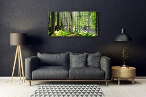 Quadro di vetro Foresta Alberi Pianta Natura 100x50 cm