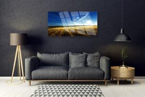 Quadro su vetro Campo di grano Sole Paesaggio 100x50 cm