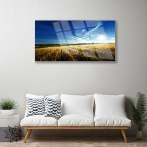 Quadro su vetro Campo di grano Sole Paesaggio 100x50 cm