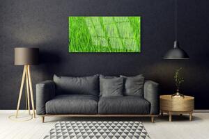 Quadro in vetro Tappeto erboso verde natura 100x50 cm