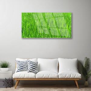 Quadro in vetro Tappeto erboso verde natura 100x50 cm