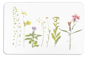 Tappetino da bagno bianco 39x60 cm - Artsy Doormats
