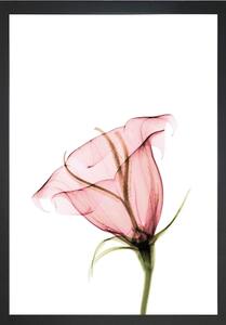 Dipinto 24x29 cm Misty Bloom – Vavien Artwork