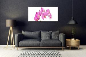 Quadro su vetro Orchidea Fiori della natura 100x50 cm