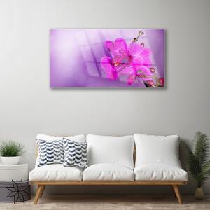 Quadro su vetro Fiori Petali Orchidea 100x50 cm
