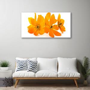 Quadro su tela Fiori di piante arancioni 100x50 cm