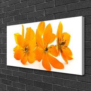 Quadro su tela Fiori di piante arancioni 100x50 cm
