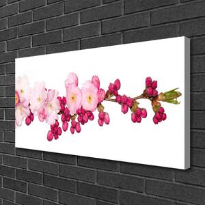 Quadro su tela Ramoscello di fiori di ciliegio 100x50 cm