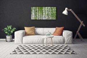 Quadro su tela Natura degli alberi della foresta di betulle 100x50 cm