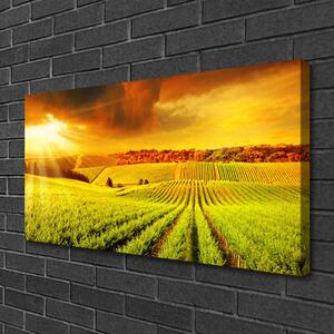 Quadro su tela Paesaggio del campo al tramonto 100x50 cm