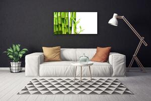Stampa quadro su tela La pianta di bambù 100x50 cm