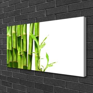 Stampa quadro su tela La pianta di bambù 100x50 cm