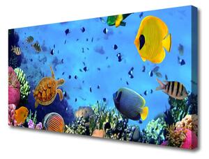Quadro su tela Natura dei pesci della barriera corallina 100x50 cm